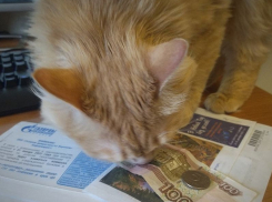 «Почта России» извинилась перед воронежцем, которому не присылала квитанции за ЖКХ