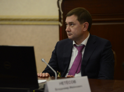 Мафия Нетёсова идёт в Общественную палату Воронежской области 