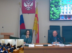 Судьба НТО в Воронеже: Бородина и Крутских - за конкуренцию, Померанцев – за мелких, Таранцов - за Путина