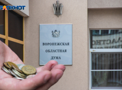 Экономить бюджетные деньги начали на Воронежской облдуме 