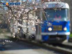  Каким будет май в Воронежской области, рассказали синоптики 