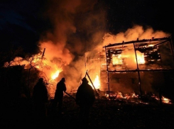 В Воронеже ночью сгорела конюшня