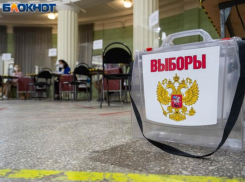 Явка в Воронеже ниже, чем по области: Избирком подвёл итоги первого дня выборов в облдуму