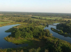 Около 40 га Воронежского заповедника отдали под застройку