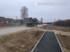 Воронежцы просят защитить их от грузовиков 