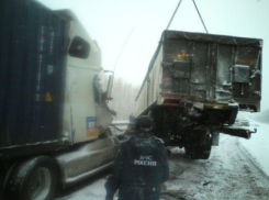 В Воронежской области в ДТП с участием двух грузовиков погиб один человек