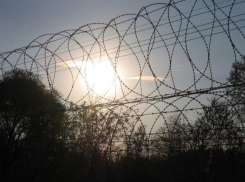 Наркоторговец Руслан Серов приговорен к 14 годам лишения свободы