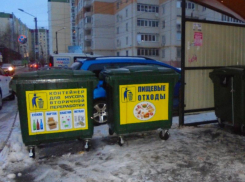 Мусорный эксперимент проводят во дворах Воронежа