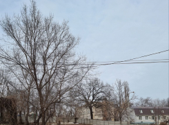 Воронежцы обратили внимание на сквер-фантом