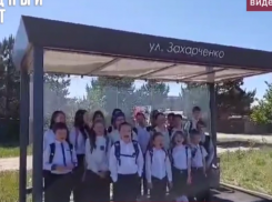 “Хотим автобус”: 4 км вдоль леса вынуждены идти воронежские школьники 