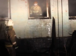 МЧС опубликовало видео пожара в психоневрологическом интернате под Воронежем