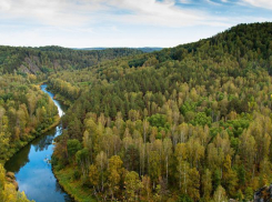 Тестовая новость