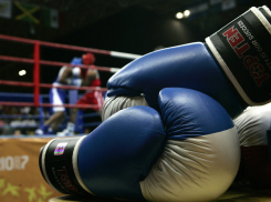 Воронежские кикбоксеры взяли в Ельце 21 медаль