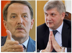 Губернатор Гусев призвал Алексея Гордеева на борьбу с вонью в Воронеже 