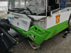 Месячный ребенок погиб в страшном ДТП с маршруткой в Воронеже