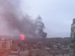 Черный дым из леса на юго-западе города с утра переполошил воронежцев