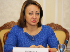 На взыскание 15 млн рублей подала кассацию бывшая вице-мэр Воронежа Марина Плиева