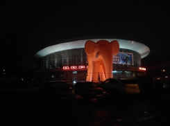 Оранжевого слона у Воронежского цирка предложили сделать рекламой легендарной трэш-ленты