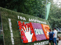 VIII  Международный фестиваль «Город-Сад» начал свою работу!