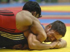 Спорткомплекс с борцовским залом спроектируют за 10,8 млн рублей в Воронеже