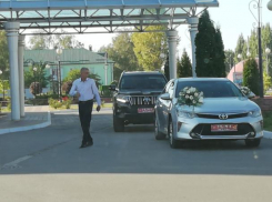 Воронежские чиновники устроили сиесту из-за свадьбы сына главы райадминистрации
