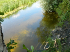 Житель Воронежа утонул в реке в Семилукском районе