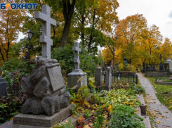  Стало известно, сколько воронежских медиков погибли от COVID-19, заразившись на работе 