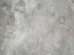 Воронежское министерство подтвердило дефицит дворников 