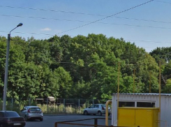 Власти попросили воронежцев предложить идеи по реконструкции Центрального парка