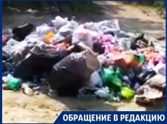 Частный пляж под Воронежем превратили в зловонную свалку