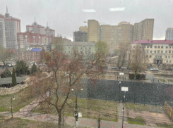 Метель обрушилась на апрельский Воронеж