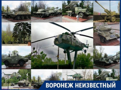 Какая гордость России расположена в воронежском левобережье
