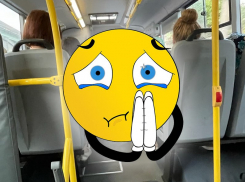 «Я лично ему в ножки плюхнусь»: жительница Воронежа передала послание директору перевозчика «ВТК»