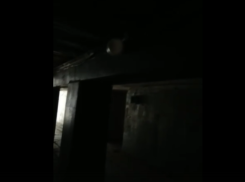 Многострадальный переход у воронежского политеха погрузился во тьму