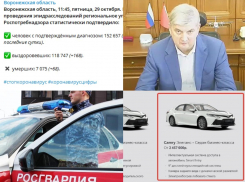 Коронавирус в Воронеже 29 октября: + 776 заболевших, привлечение росгвардейцев к борьбе с пандемией и иномарки для чиновников
