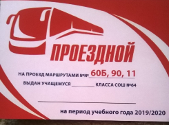 Учеников воронежской школы будут бесплатно возить в маршрутках