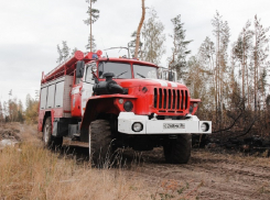 Северный лес горел ночью в Воронеже 
