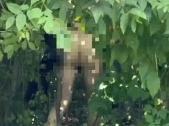 Голопопый извращенец прогулялся перед общагой журфака ВГУ на видео