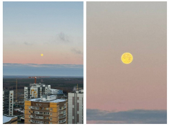 Воронежцы запечатлели бобровую луну утром над городом 