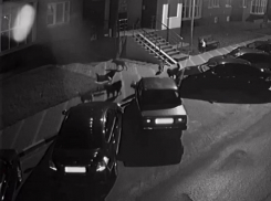 Стая собак напугала двух девушек в воронежском ЖК - появилось видео