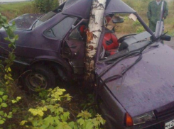 В Эртильском районе «ВАЗ» с размаху врезался в дерево