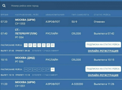 «Аэрофлот» отменил рейс из Воронежа в Москву