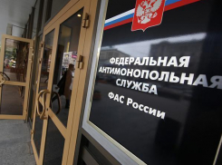 Воронежский УФАС не поддержал жалобщиков из МРСК Центра