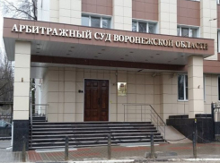 Свинка Пеппа подвела очередного бизнесмена в Воронеже