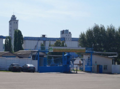 Калачеевский хлебкомбинат под Воронежем попробуют продать в конце лета