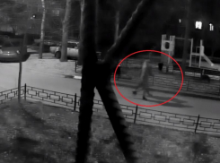 Воронежцев предупредили о бесстрашной банде автовзломщиков