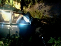 В Воронежской области  «семерка» врезалась в дерево: есть погибший