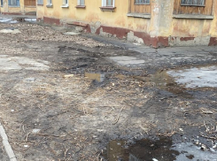 Как вам такое, Вадим Юрьевич? – жительница Воронежа о грязи на Левом берегу