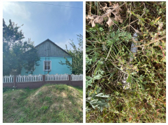 11 ударов ножом: жестоко зарезавшему свою мать воронежцу вынесли приговор  