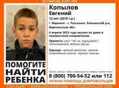 12-летний мальчик из интерната пропал в Воронеже
